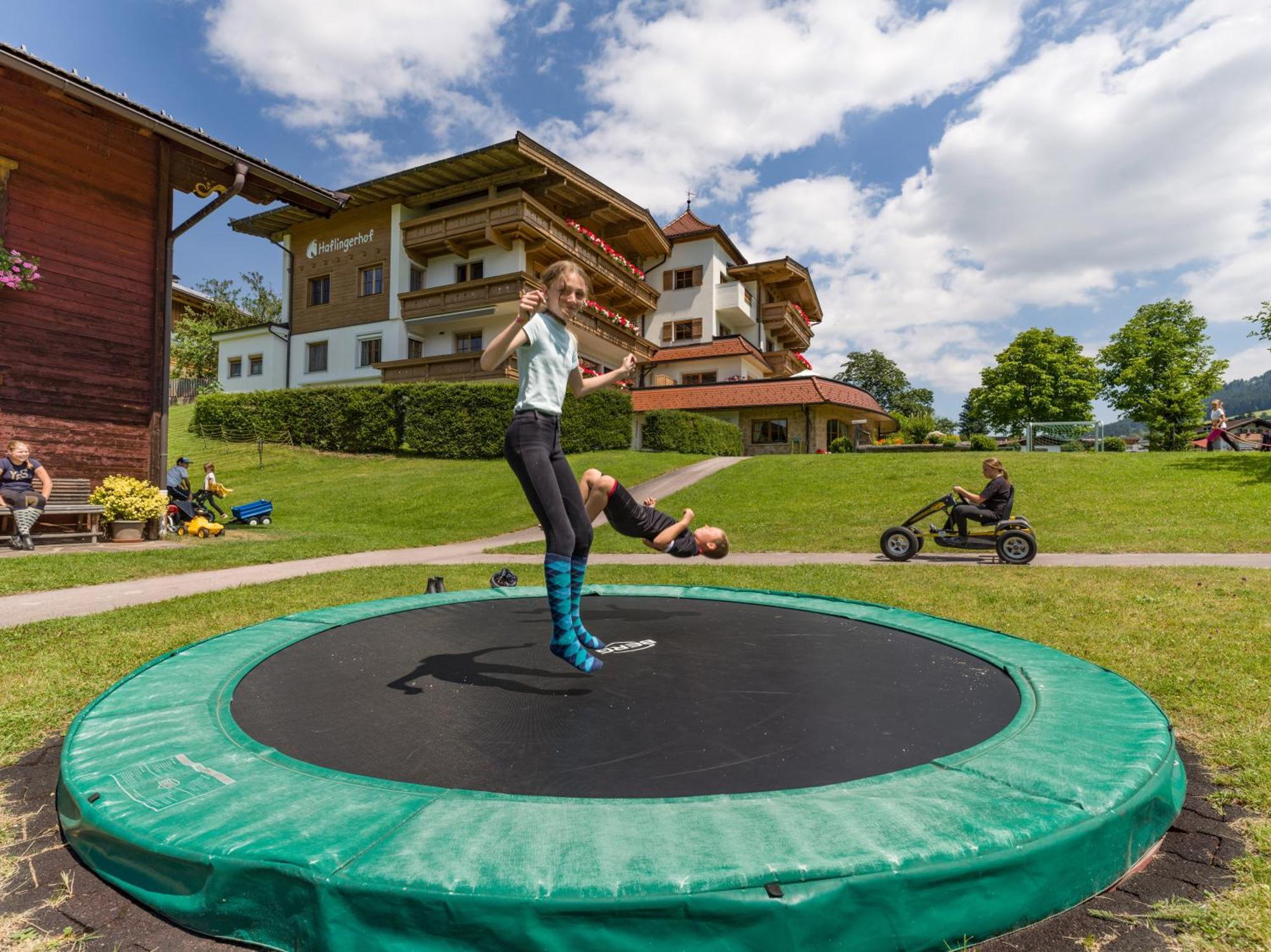 Haflingerhof *