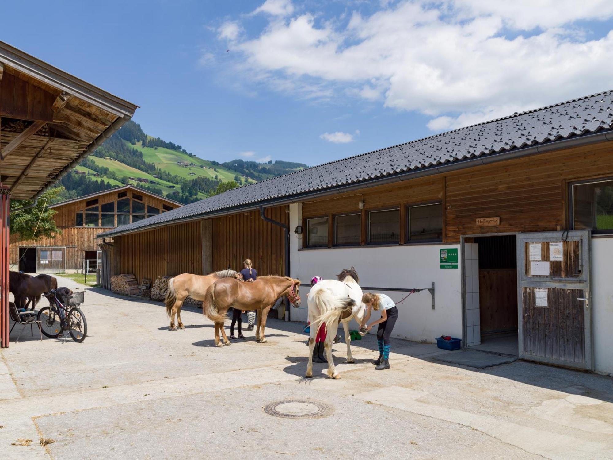 Apartamento Haflingerhof