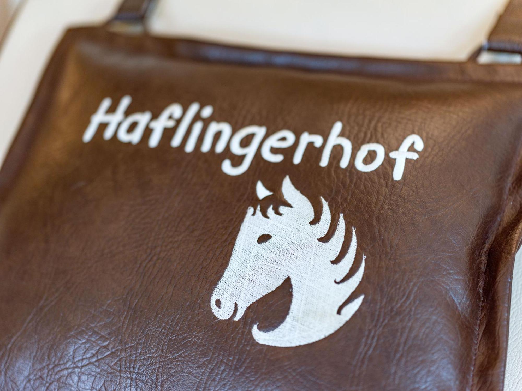 Haflingerhof Apartamento *